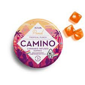 CAMINO - Camino PRIDE Passionfruit Punch 