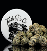 Turtle Pie 3.5G Tahiti Midnight Artisan Indoor Flower