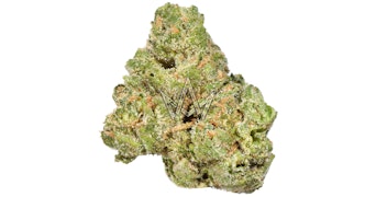 Lolo - #freebritney Indoor Smalls - 3.5g