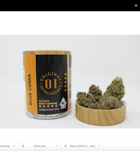 Original Intelligence - Blue Coma