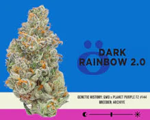 Skord | Dark Rainbow 2.0 | DOH | 3.5g