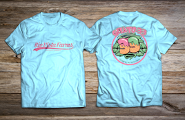 Gelato 33 T-Shirt S