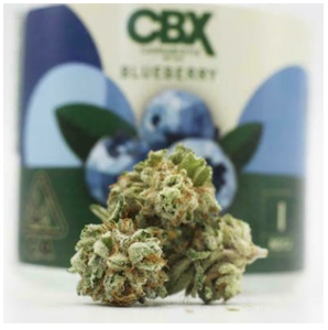 CBX - Blueberry - Recreational Cannabis | 420 Kingdom Del