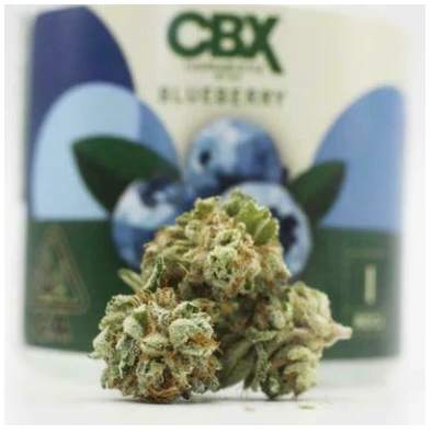 CBX - CBX - Blueberry Main Image