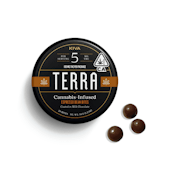 Espresso Dark Chocolate Terra Bites