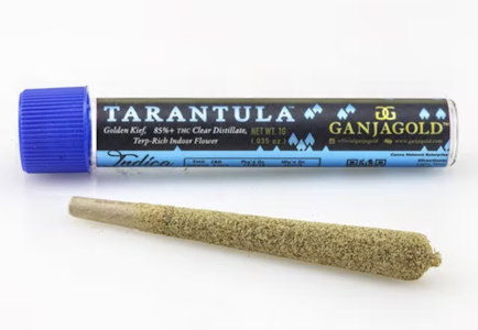 Ganja Gold - Blue Tarantula Limonana Infused Preroll 1.2g