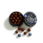 Kiva -- Terra Bites -- Milk Chocolate Blueberry (100mg)