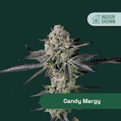 The Botanist | Candy Margy  | 14G indcia