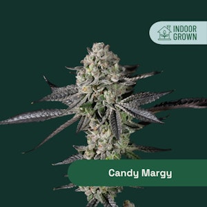 Botanist - The Botanist | Candy Margy  | 14G indica