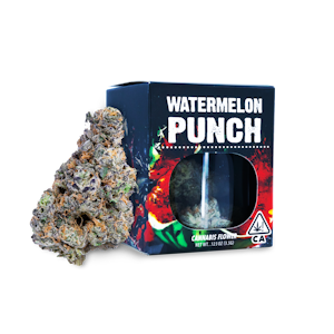 Decibel - Watermelon Punch - 3.5g