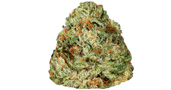 West Coast Cure - WCC OG Headstash - 3.5g