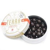 Kiva - Terra Bites - Peppermint Pattie Bites 100mg