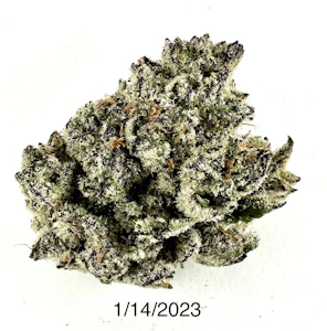 PROHIBITION 37 - P37 - Drip Station