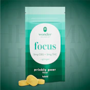 Wonder | 20pk Gummies | Focus - Prickly Pear 1:1 w/CBG | 100mg