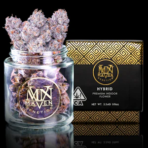 Maven Genetics - New Money - 3.5g (H) - Maven