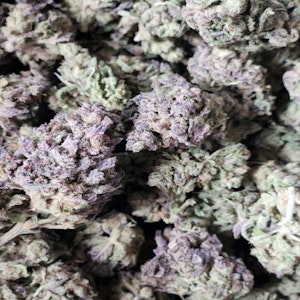 CALIFORNIA STREET CANNABIS CO - Pez Sours (Smalls)  - 4g (H) - CSCC. House Flower