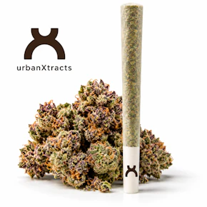 UrbanXtract | 1g Pre-Roll | Wildberry Fusion |