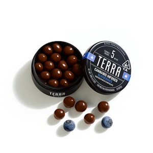 Kiva - Kiva Terra Bites 100mg Blueberry Chocolate 