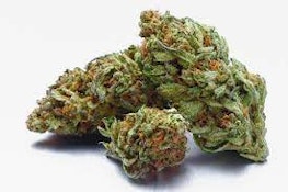 Cookies | Sunset Sherbert | 