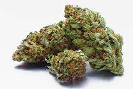 OG Logics - Cookies | Sunset Sherbert | 