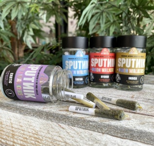 Sputnik - Sputnik - Infused PreRoll 7 Pack - Sativa 3.5G