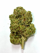 BLZ The queen (1/8) 3.5g - Hybrid / Indica