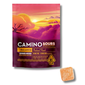 Kiva Confections | Camino Sours Orchard Peach - "Balance" Trial Pack 10:10 Single Gummy
