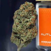 Autumn Brands - Chem Dawg - 3.5g