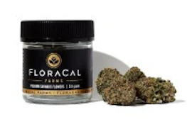 Floracal - Garlic Mints - 3.5g