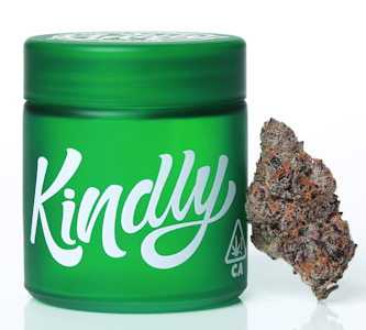 KINDLY - Kindly - Lava Cake