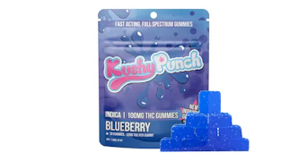 Kushy Punch - Blueberry Gummies - 100mg