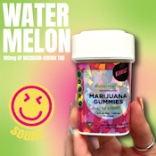 Cheef - Watermelon Sour Gummies - 100mg