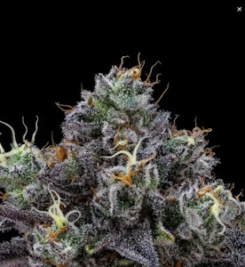 Floracal - Floracal - Indica - SlurriCrasher Indoor - (3.5g)