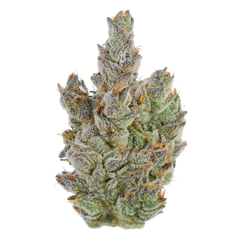 Fig Farms - Moonana Chronic - 3.5g (SH) - Fig Farms Main Image