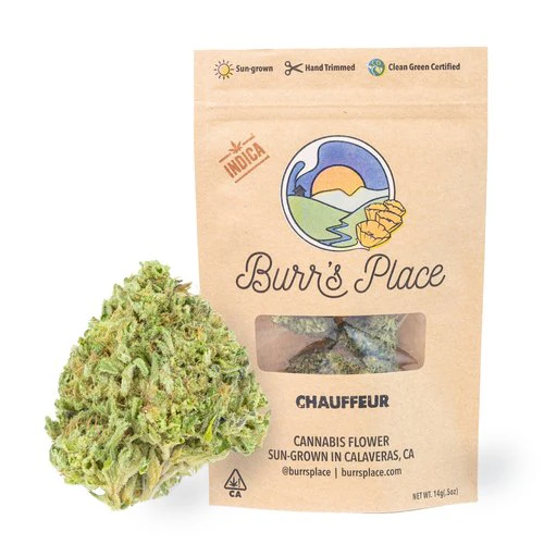 Burr's Place - Burrs Place Chauffeur Sun-Grown Flower 14g Main Image