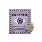 5g Gas Hauler (Greenhouse Smalls) - Field Trip