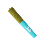 Mai Tai (S) | .5g Baby Jeeter Infused Preroll (single) | Jeeter