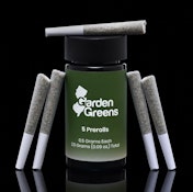 Garden Greens | Zorro 131 | 5pk/2.5g