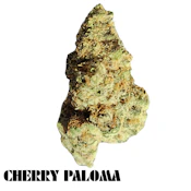 Green Paradise - Cherry Paloma Deli Flower