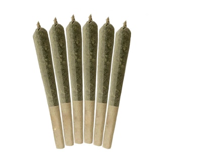 XXL - XXL Spray Can 6PK Mini Pre Rolls 3.6G White Widow 