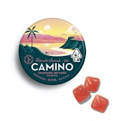Camino - Gummies - Watermelon Lemonade 100mg