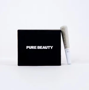 Pure Beauty - BLACK BOX - HYBRID (5PK) - PURE BEAUTY