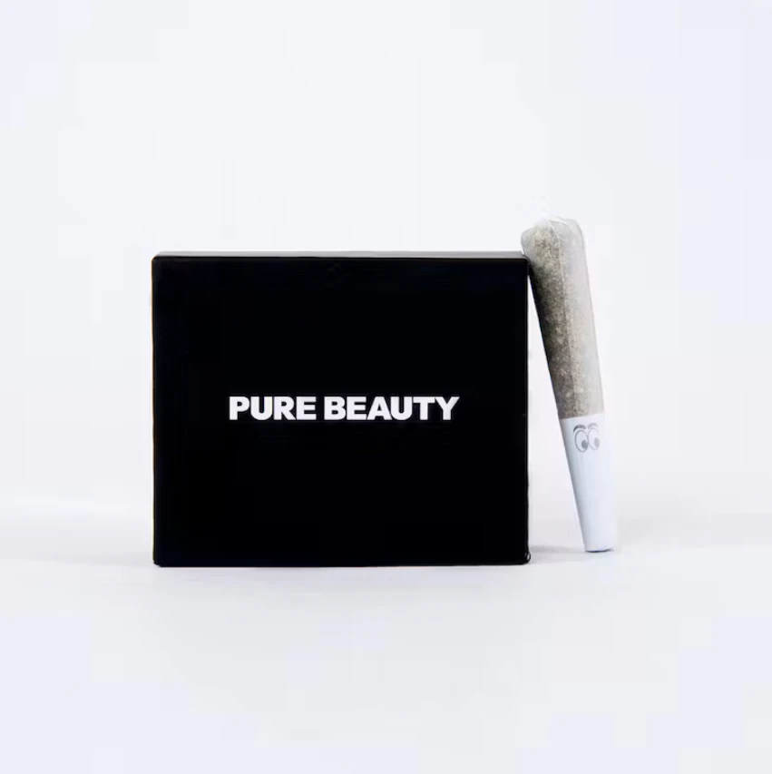 Pure Beauty - BLACK BOX - HYBRID (5PK) - PURE BEAUTY Main Image