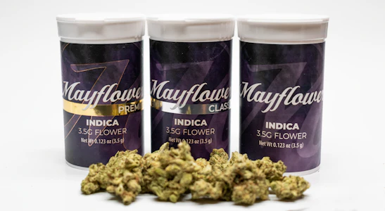 Mayflower Medicinals - White Knuckles - 3.5g - MMI