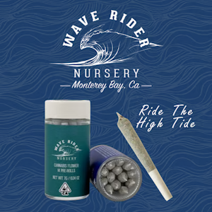 Wave Rider - Wave Rider - 0.5g 14pk (7g) Pre-Roll Pack - Lemon OG