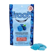Froot | 10pk Gummies - Blue Razz Dream