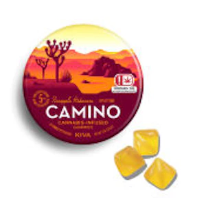 CAMINO - Pineapple Habanero (100mg) Gummies