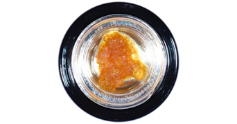 West Coast Cure - Papaya Punch Live Resin Sugar - 1g