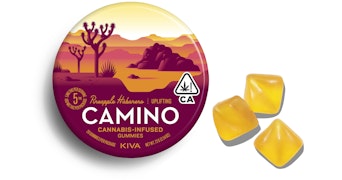 Camino - Pineapple Habanero Gummies - 100mg
