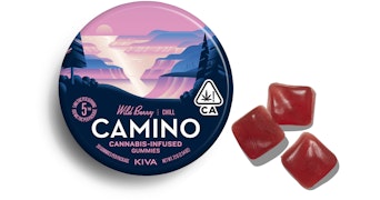 Camino - Wild Berry Gummies - 100mg